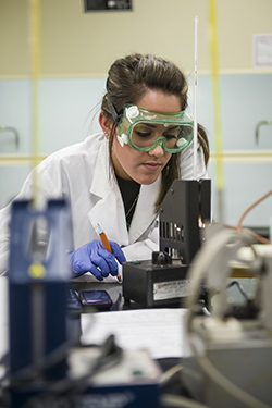 Bachelor Of Science In Chemistry, Chemistry Education Concentration ...